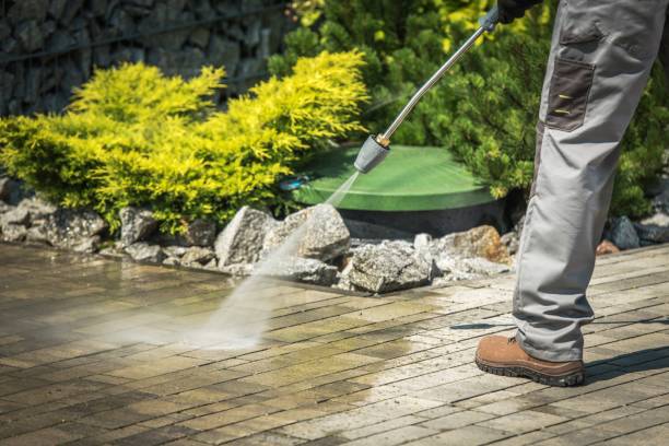 Best Animal Enclosure Cleaning  in Cotati, CA